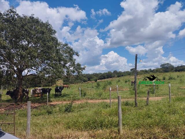 #15 - Sítio para Venda em Unaí - MG