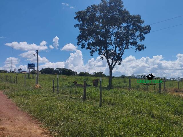 #15 - Sítio para Venda em Unaí - MG